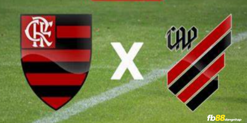 Soi kèo bóng đá Flamengo vs Paranaense 07h30 ngày 14/9/2023 cùng FB88