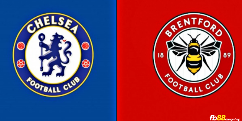 Soi kèo bóng đá Chelsea vs Brentford 18h30 ngày 28/10/2023 cùng FB88