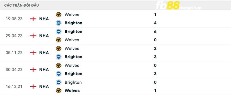 Lịch sử đối đầu của Brighton & Hove Albion vs Wolverhampton
